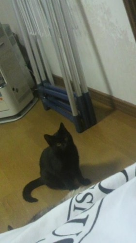 強風ですが