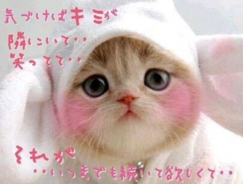男臭い感じでした!