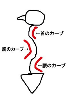 美姿勢運動講座を開催します