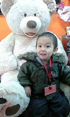 ★大きな大きなテディベア★