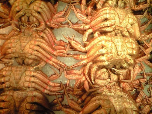 ★ファーム・サポート～水産部～★