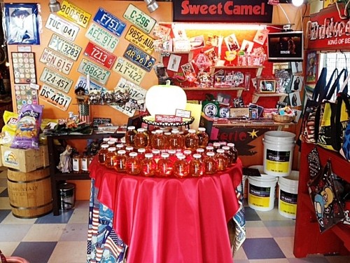 [NEW!!]コーナー新設♪