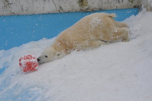 ズルズル