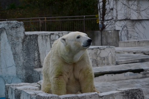 ララさん