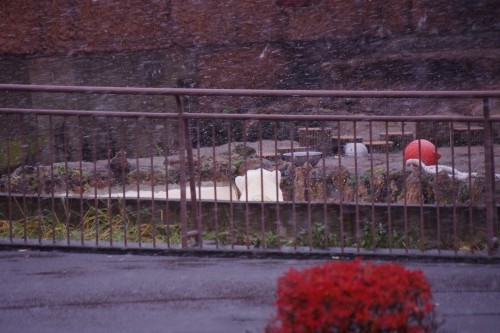 初雪の日