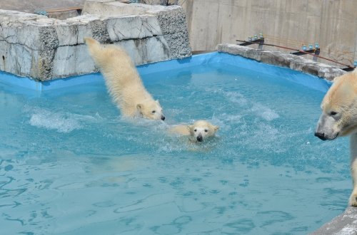賑やかなララさん家