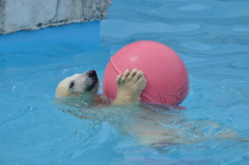 毎日見ても飽きません