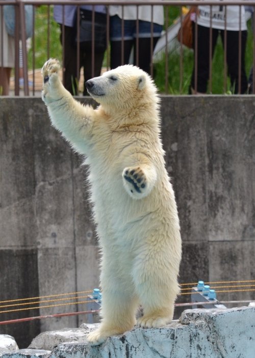 とにかく元気