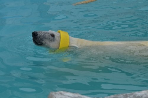 タフです