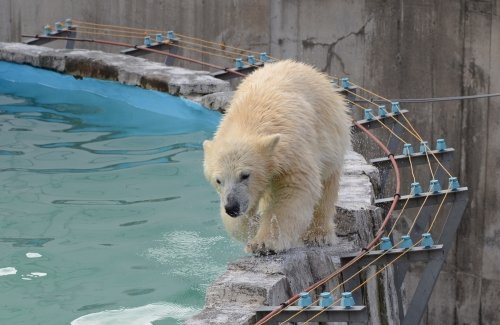 ディナータイム