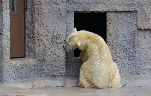 あっという間に引っ越し