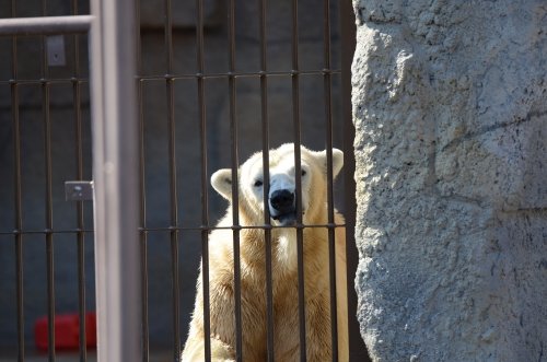 母も子も元気です