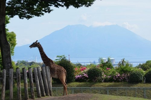 平川動物公園