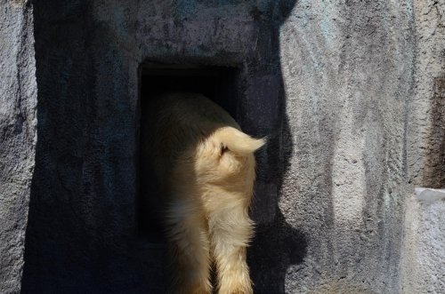 晴天の日のキロル～地上編