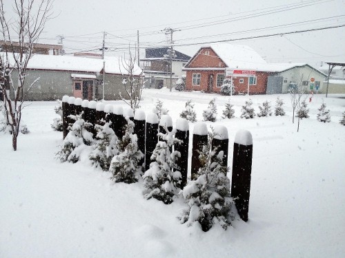 鹿追町は 雪景色