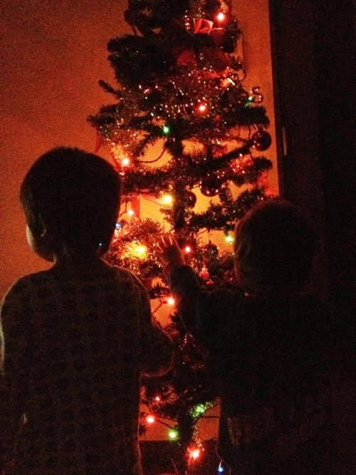 今年は遅めの「クリスマスツリー」