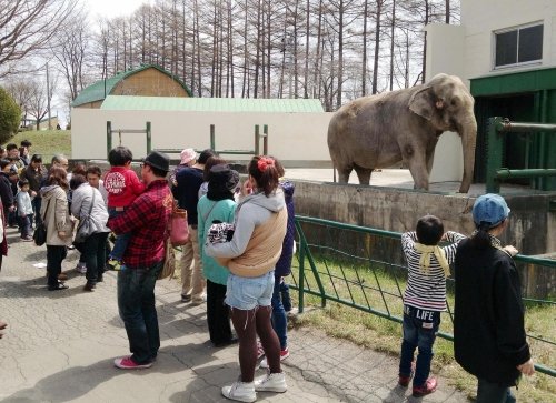 象がいる帯広動物園