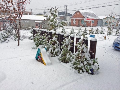 ドカッと初雪！