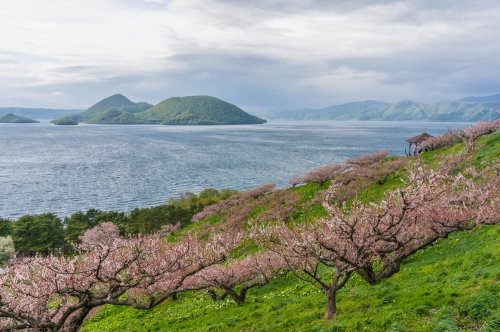 完走記「第40回洞爺湖マラソン」