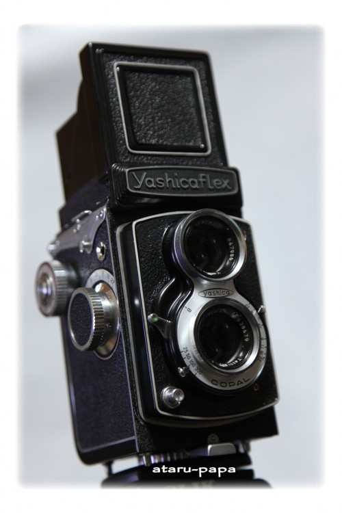 Yashica Flex