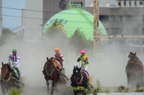 　500ミリレンズを持って競馬場へ