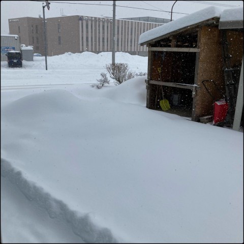 3月前半の予定をお知らせします。