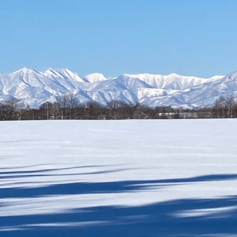 3月後半の予定をお知らせします。