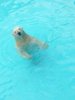 昨日のキロル君２