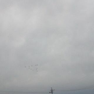 エアフェスタ浜松障害者ご招待