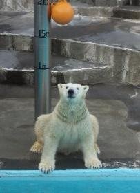 キロルリゾートのおもてなし