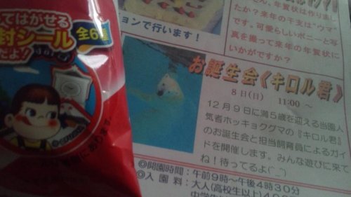 8日(日曜)キロル君お誕生会