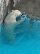 キロル君の仕事納め
