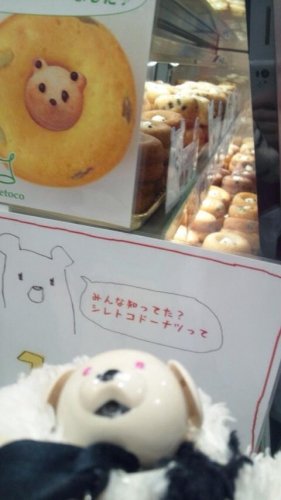 本日のキロル君