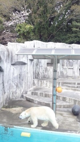 リアルタイムキロル