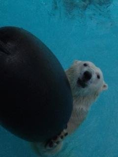 見上げる