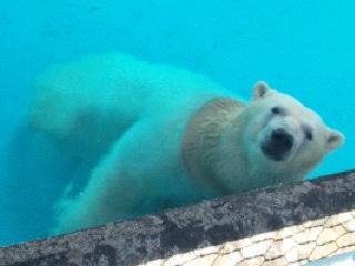 空が気になる