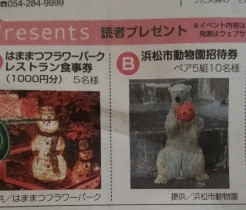 キロル君プレゼント？