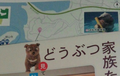 浜松駅の観光案内所に