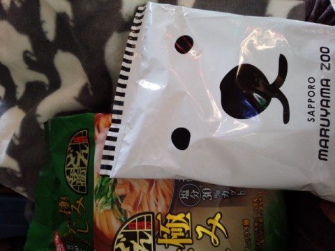 しろくま救出