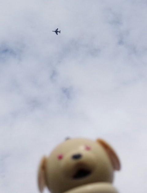 ブルーインパルスさん、きたー