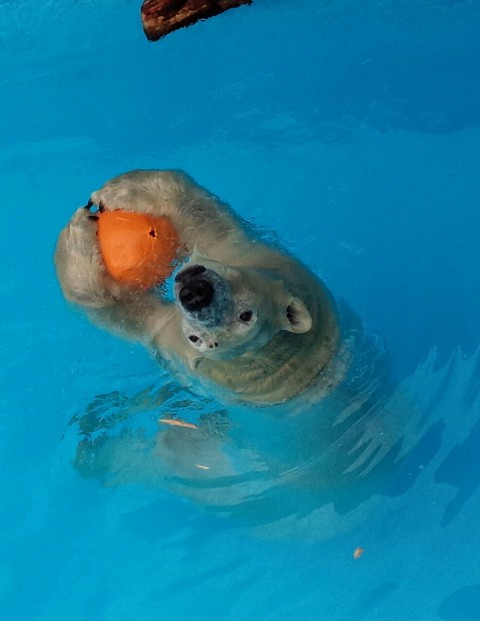 だって、育ち盛りなんだもの