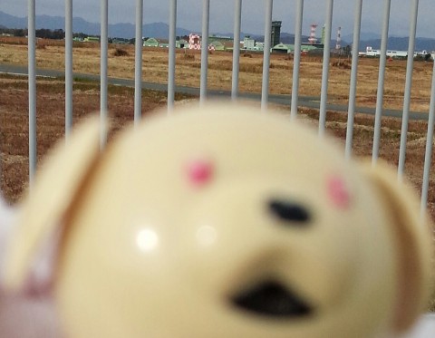 7機並んで