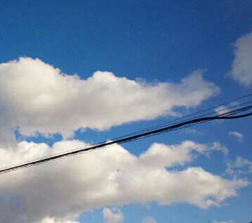 空からパクリ