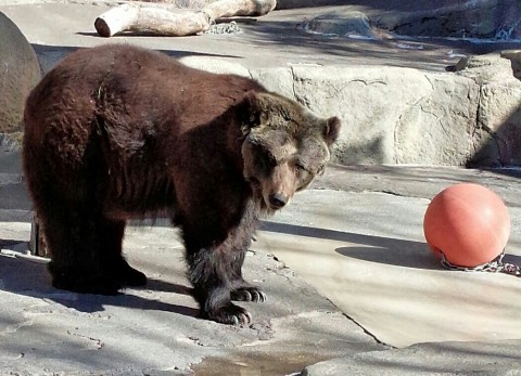 初浜松市動物園その1
