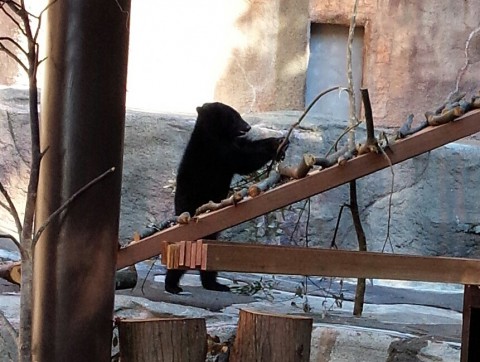 初浜松市動物園その4