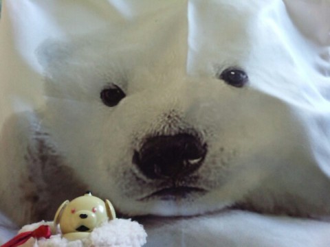 また逢えるのかな