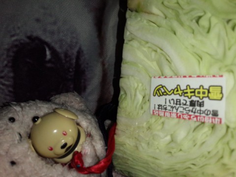 北海道物産展