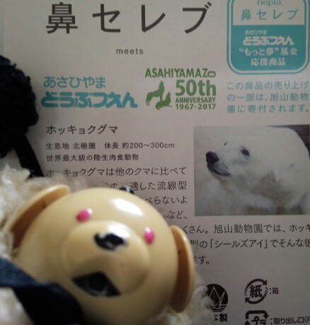 くまさんの日