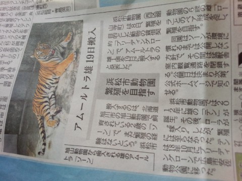 旭山の