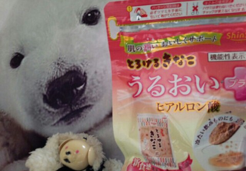 先週のおくすり